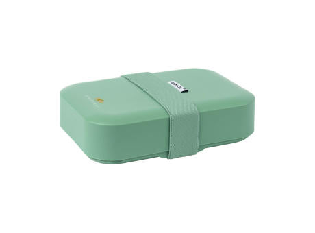 Amuse Classic Lunchbox Medium