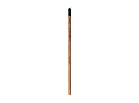 Sproutworld Unsharpened Pencil Bleisstift ungespitzt
