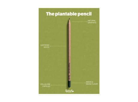 Sproutworld Sharpened Pencil Bleistifte angespitzt