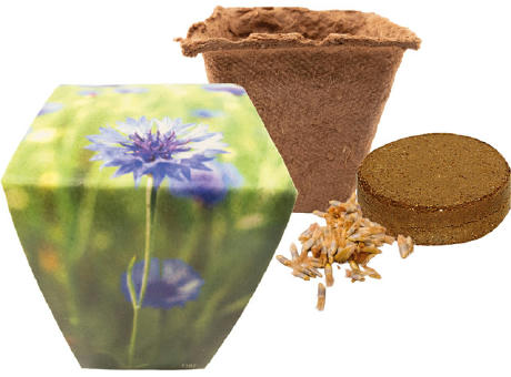 Naturtöpfchen Blue