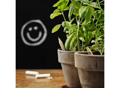 SPROUT - Farbstift