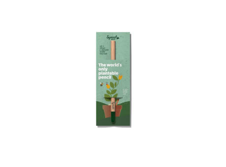 SPROUT - Mini-Bleistift mit Ansteckkarte
