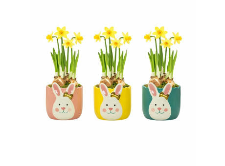 Easter golden bunny medium - Narzisse