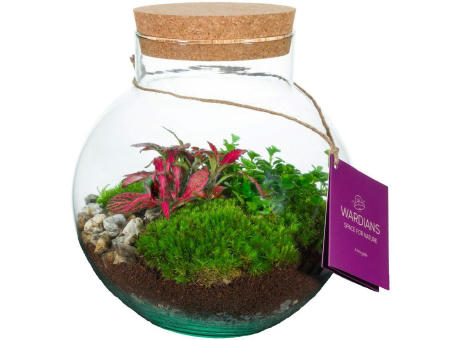 Wardians® Ecosystem - Bowl medium