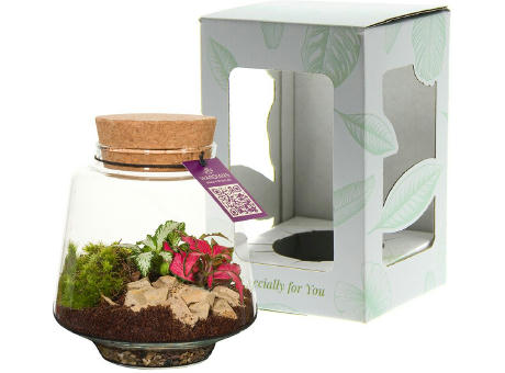 Wardians® Ecosystem - Conical small
