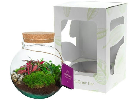 Wardians® Ecosystem - Bowl medium