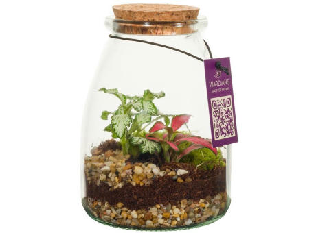 Wardians® Ecosystem - Bottle small