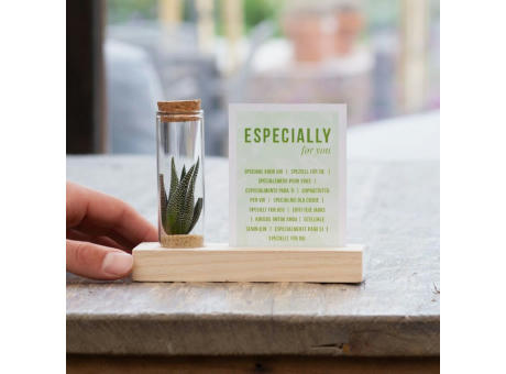 Tiny Treasurez® - Cardholder & tube