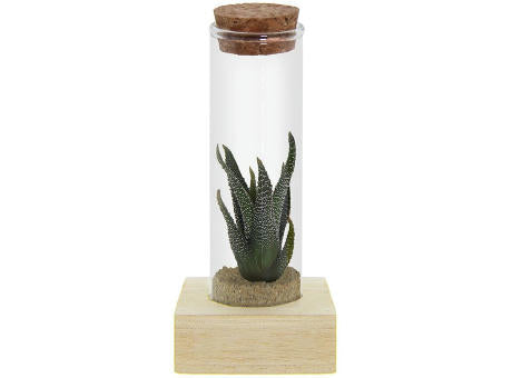 Tiny Treasurez® - Single tube & wood