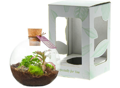Wardians® Ecosystem - Bowl small