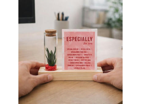 Tiny Treasurez® - Cardholder & tube