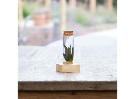 Tiny Treasurez® - Single tube & wood