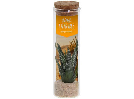Tiny Treasurez® - Message in a bottle small