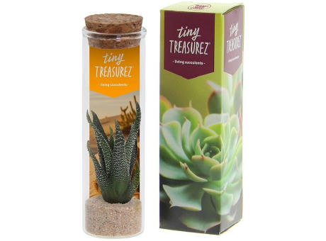Tiny Treasurez® - Message in a bottle small