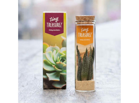 Tiny Treasurez® - Message in a bottle small