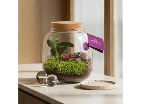 Wardians® Ecosystem - Sphere medium