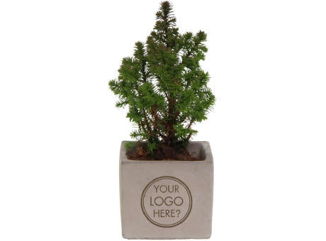 Congreet® plantpots small - Christmas edition