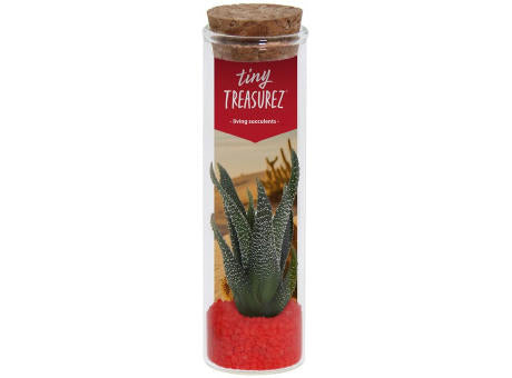 Tiny Treasurez® - Message in a bottle small