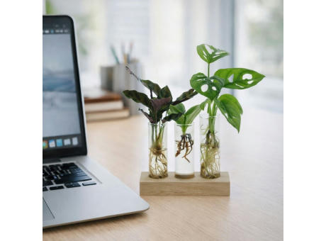 Hydroponic plants - Trio tube & wood
