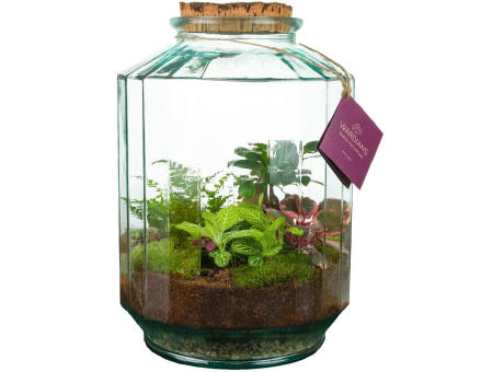 Wardians® Ecosystem - Stripe large