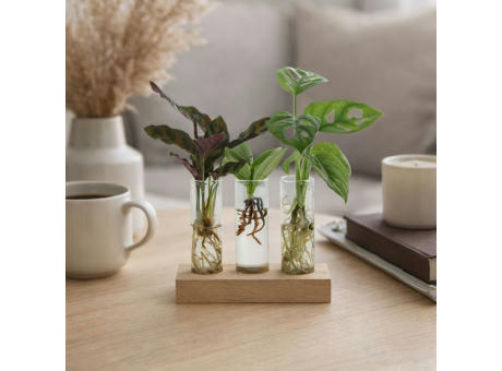 Hydroponic plants - Trio tube & wood