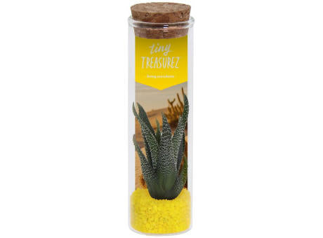 Tiny Treasurez® - Message in a bottle small