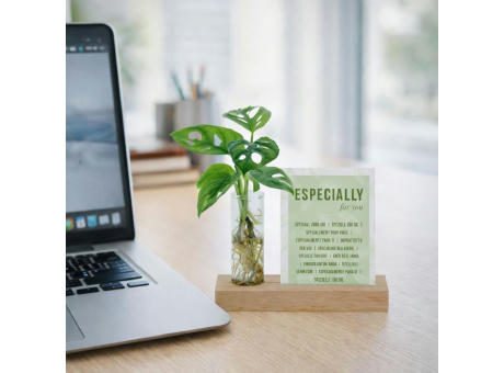 Hydroponic plants - Cardholder & tube