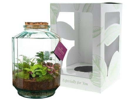 Wardians® Ecosystem - Stripe large