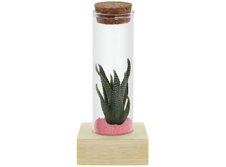 Tiny Treasurez® - Single tube & wood
