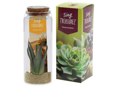 Tiny Treasurez® - Message in a bottle large