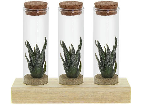 Tiny Treasurez® - Trio tube & wood
