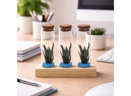 Tiny Treasurez® - Trio tube & wood