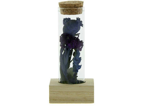 Dried Flowers - Single tube & wood