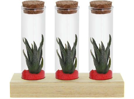 Tiny Treasurez® - Trio tube & wood