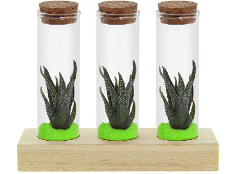 Tiny Treasurez® - Trio tube & wood