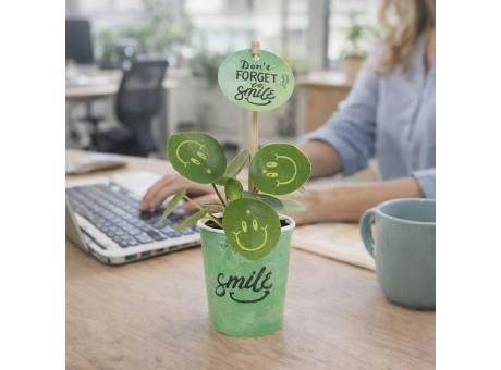 Smylieplant® - Happy im Pappbecher (small)