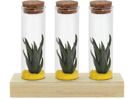 Tiny Treasurez® - Trio tube & wood