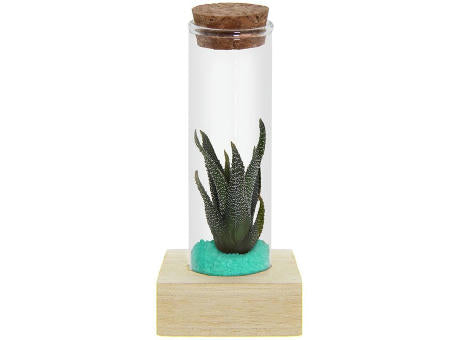 Tiny Treasurez® - Single tube & wood