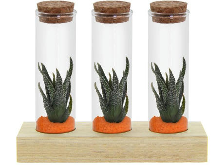 Tiny Treasurez® - Trio tube & wood