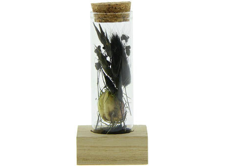 Dried Flowers - Single tube & wood