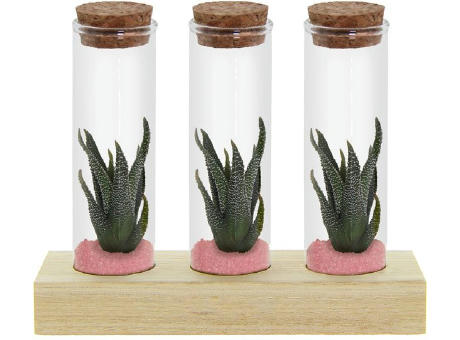 Tiny Treasurez® - Trio tube & wood