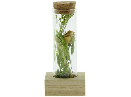 Dried Flowers - Single tube & wood