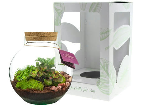 Wardians® Ecosystem - Bowl large