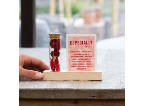 Dried Flowers - Cardholder & tube