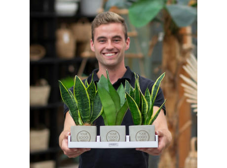 Congreet® plantpots large