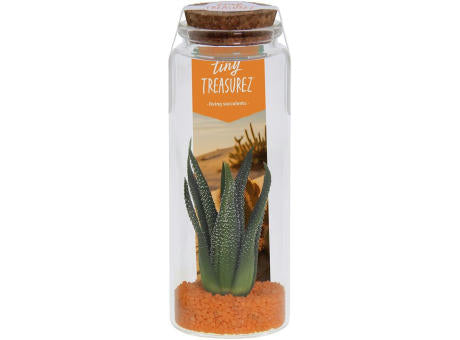 Tiny Treasurez® - Message in a bottle large