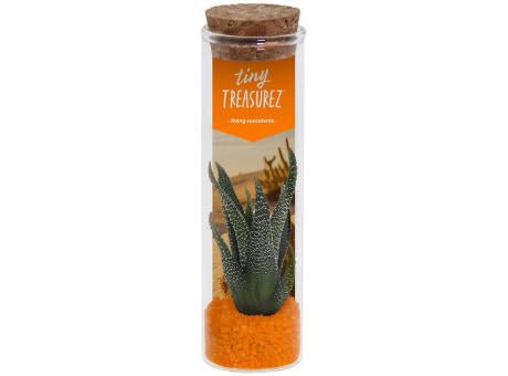 Tiny Treasurez® - Message in a bottle small