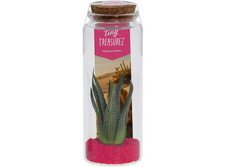 Tiny Treasurez® - Message in a bottle large