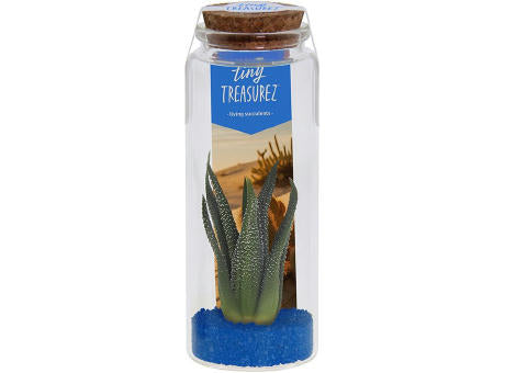 Tiny Treasurez® - Message in a bottle large