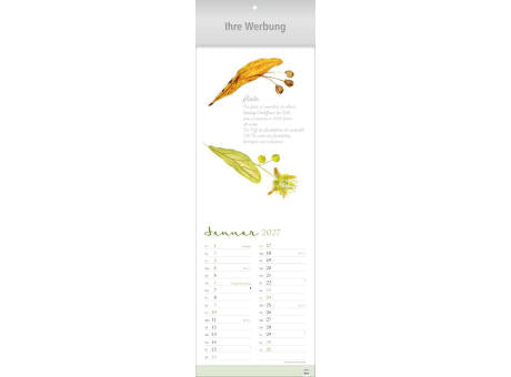 Herbarium